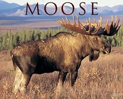 Moose 2009 Calendar