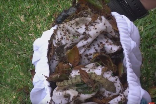 Aquabot-APRVJR-Pool-Rover-Junior-Robotic-Above-Ground-Pool-CleanerColor-May-Vary