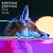 Everything Everything