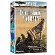 Nature: Extraordinary Animals (6pc) by 
