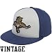 NHL Reebok Florida Panthers Navy Blue-White Flat Bill Retro Sport 210 ...