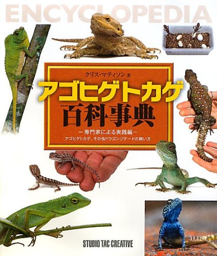 アゴヒゲトカゲ百科事典