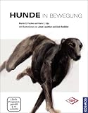 Hunde in Bewegung