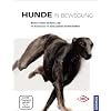 Hunde in Bewegung