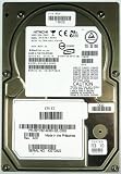 36GB Festplatte Ultrastar DK32EJ-36NC SCSI [8627]