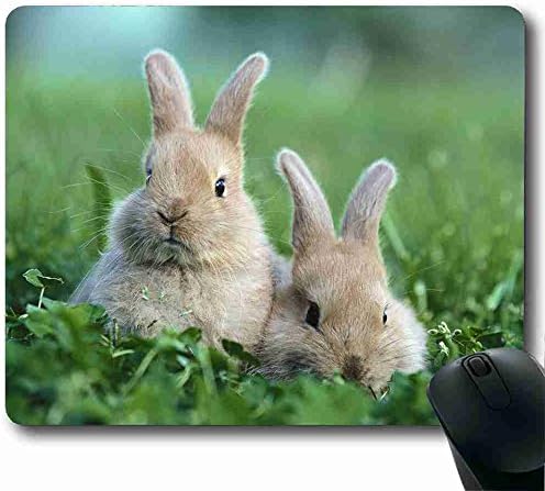 High quality, is not easy to bad Mouse Pad animal Order Support Ready 8.66 Inch (220mm) X 7 Inch (180mm) Suitable for holiday gift MP019547