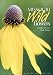 Missouri Wildflowers: A Field Guide to the Wildflowers of Missouri