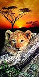 Review sbdesigns  / Lion Cub Sunrise Terry Velour Beach/Bath Towel