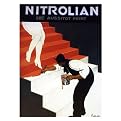 Gallery Wrapped Nitrolian by Leonetto Cappiello - (36 x 48")