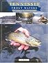 Tennessee Trout Waters: Blue-Ribbon Fly-Fishing Guide