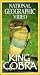 VHS : King Cobra