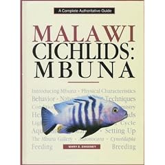 Malawi Cichlids: Mbuna