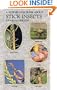 A Step-By-Step Book About Stick Insects