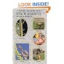Step by Step Book About Stick Insects