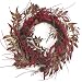 Amaranthus and Huckleberry Wreath