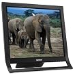 Sony X-Brite SDM-HS95P/B 19 LCD Monitor (Black)