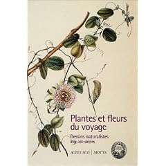 Plantes et fleurs du voyage