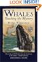 Whales: Touching the Mystery