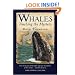 Whales: Touching the Mystery