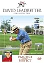 David Leadbetter Practice Makes Perfect