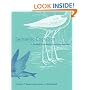 Semantic Cognition: A Parallel Distributed Processing Approach (Bradford Books)