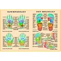 Hand and Foot Reflexology