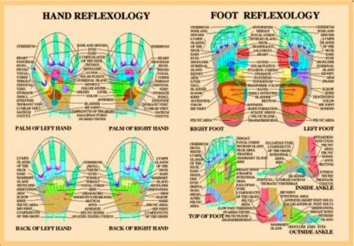 hand and foot reflexology