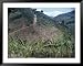 Coffee Plantation, San Jose, Costa Rica Framed Art Poster Print, 49x39