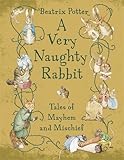 A very naughty rabbit : tales of mayhem and mischief