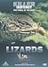 Killer Instinct - Lizards [2002] [DVD]