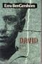 David: The Testimony of a Holocaust Survivor