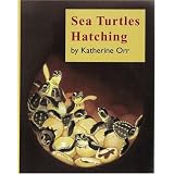 Sea Turtles Hatching