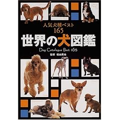 ���E�̌��}�Ӂ\�l�C����x�X�g165