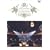 NORIYUKI MAKIHARA SYMPHONY ORCHESTRA �gcELEBRATION�h [DVD]