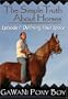 The Simple Truth About Horses: Episode One: "Defining Your Space"