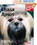 Lhasa Apsos