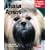 Lhasa Apsos (Pet Owner's Manual)
