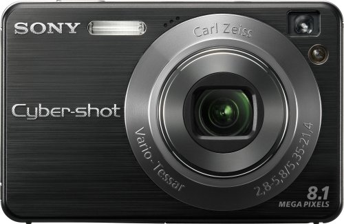 Sony Cybershot DSCW130/B 8.1MP Digital Camera with 4x Optical Zoom with Super Steady Shot (Black)
