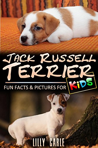 Jack Russell Terrier: Fun Facts & Pictures For Kids, by Lilly Carle Jack Russell Terrier: Fun Facts & Pictures For Kids, by Lilly Carle