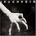 Arachnoid
