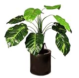 2.5ft Pothos - Artificial Plant