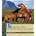 Pferde der nordischen G�tter: Islandpferde - Ein Rasseportr�t