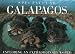 Spectacular Galapagos