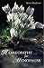 Book Homeopathy for Menopause