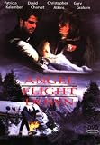 Angel Flight Down [Region 2]