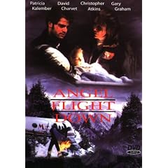 Angel Flight Down