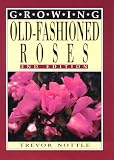 Growing Old-Fashioned Roses (Growing Series)