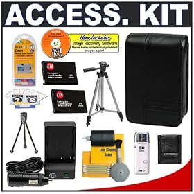 Casio Exilim EX-CASE-80 Leather Case (Black) + (2) Spare NP-20 Battery Packs + Mini... by Casio
