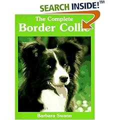 Border Collies Today