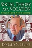 Social theory as a vocation : genres of theory work in sociology